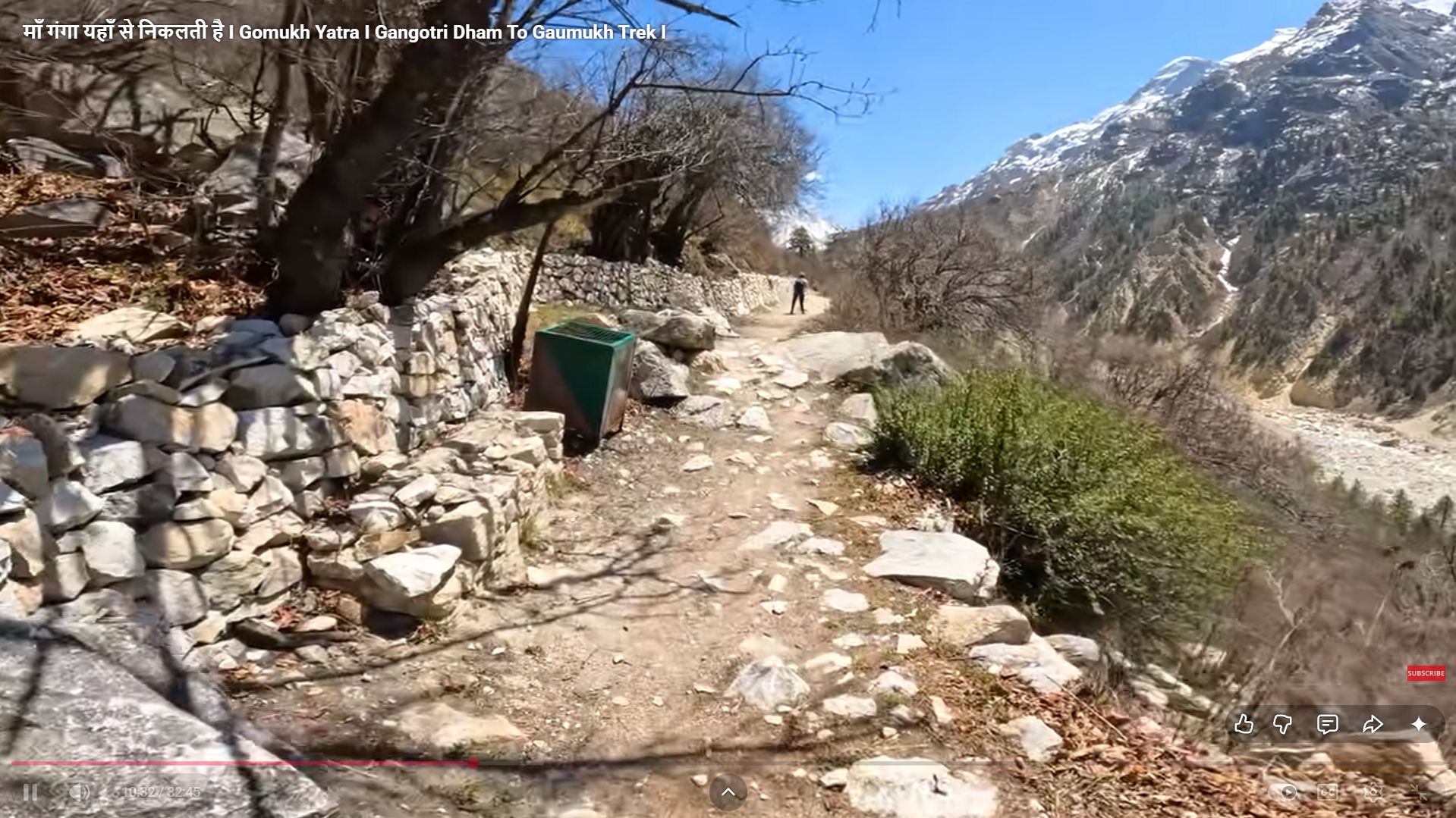 Euro Dropper vs Pipette: Which Is Right for Essential Oils?