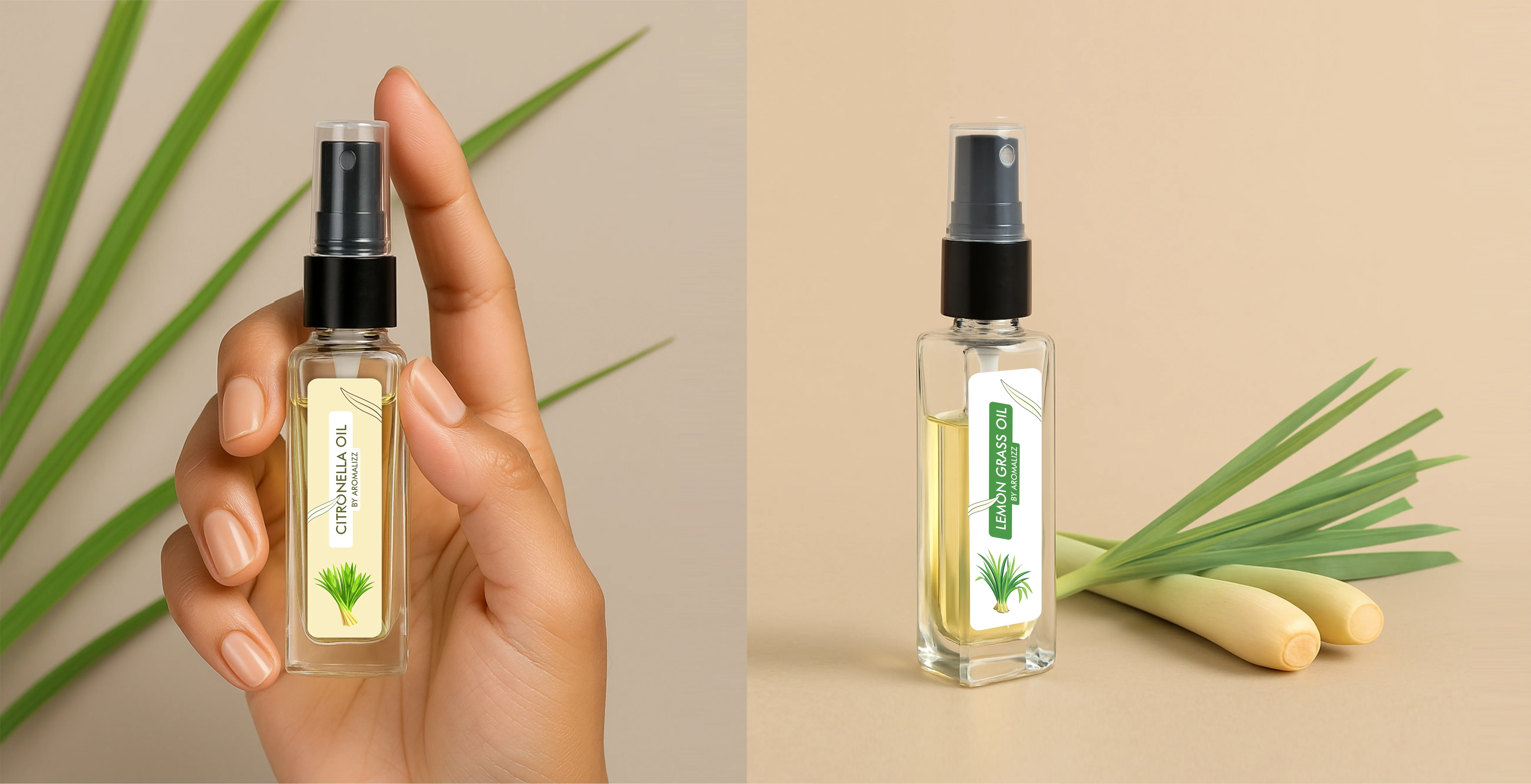 Story Of Nagaland Brand